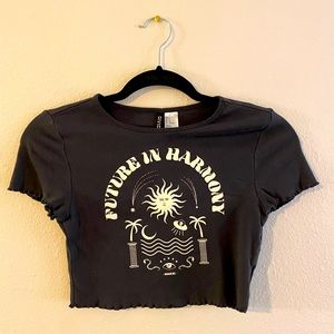 Small grey graphic crop top from Divided